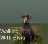 Walking with Elvis